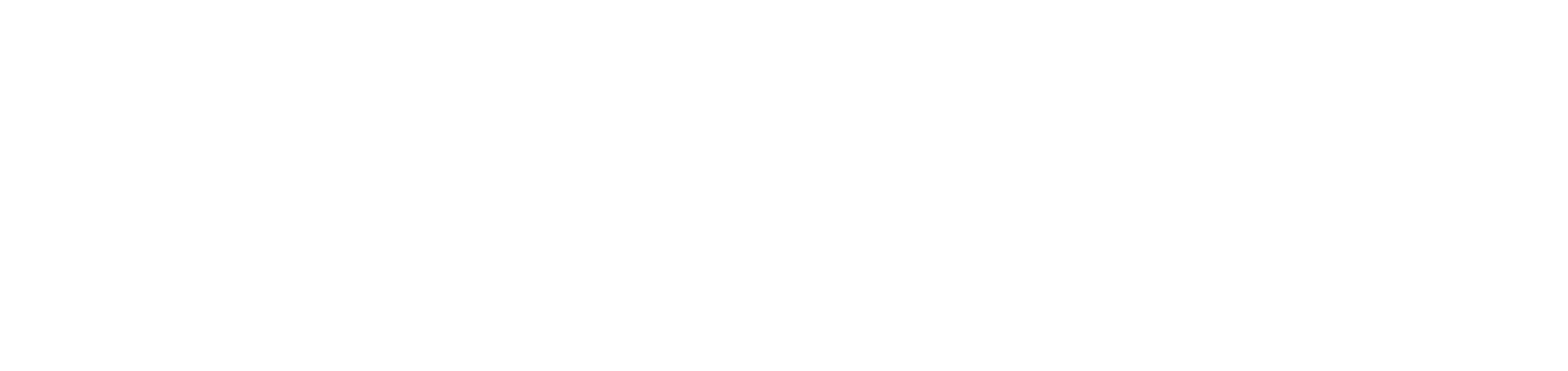 ブラックホールディングス